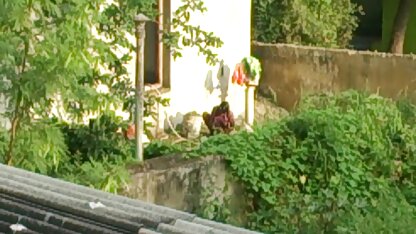 बड़ा काला मुर्गा ऊपर सेक्सी इंग्लिश बीपी पिक्चर गधा