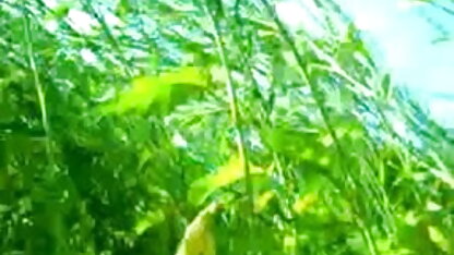 सभी प्रेमियों सेक्सी बीपी इंग्लिश पिक्चर की 540P